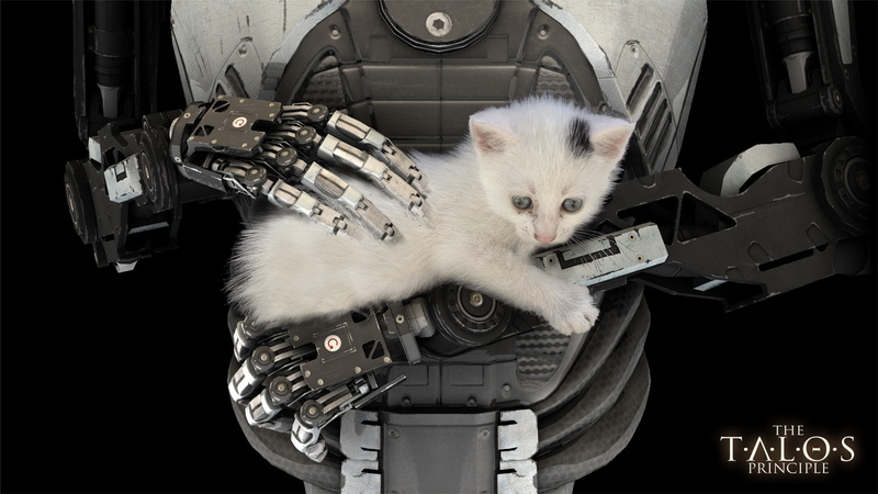 cat, 1080P, machinery, whisker, business, computer equipment, laptop, wireless technology, robot, no people, domestic, indoors, domestic animals, mammal