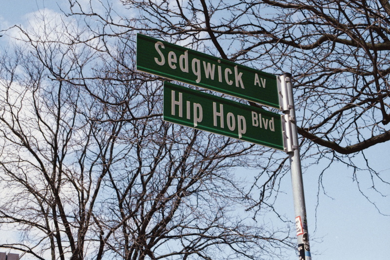 hand-held computer, electronics, sign, nature, utility pole, low angle view, plant, lamp post, direction, computer, 8K, arrow symbol, road sign, white board