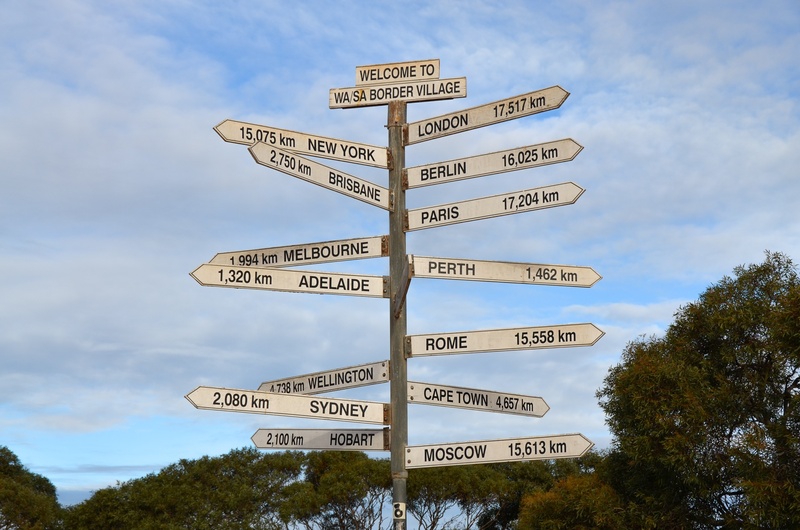 tree, directional sign, way, day, western script, non-western script, information, low angle view, direction, symbol, communication, sign, 1080P, no people