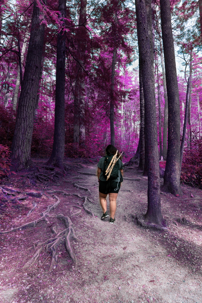 lifestyles, rear view, forest, 5K, person, apparel, footwear, purple, adult, leisure activity, light, musical instrument, shoe, trunk, brass section, human