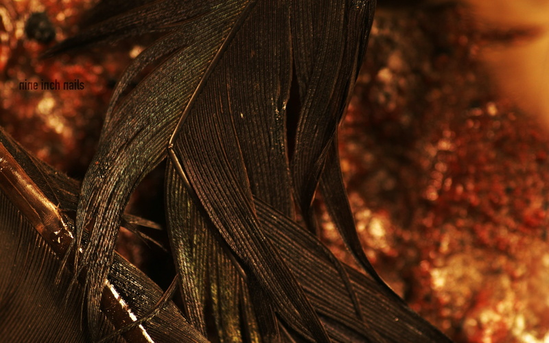 2K, textured, trunk, no people, wood - material, close-up, forest, selective focus, pattern, nature, brown, outdoors, plant, old, The Downward Spiral
