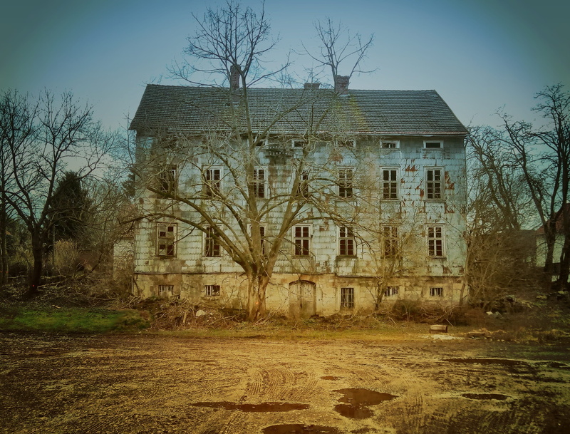 blue, surrounded, history, the past, spooky, mystery, abandoned, damaged, abandon, day, building, tree, vintage, sky, home, daytime, plant, residential district