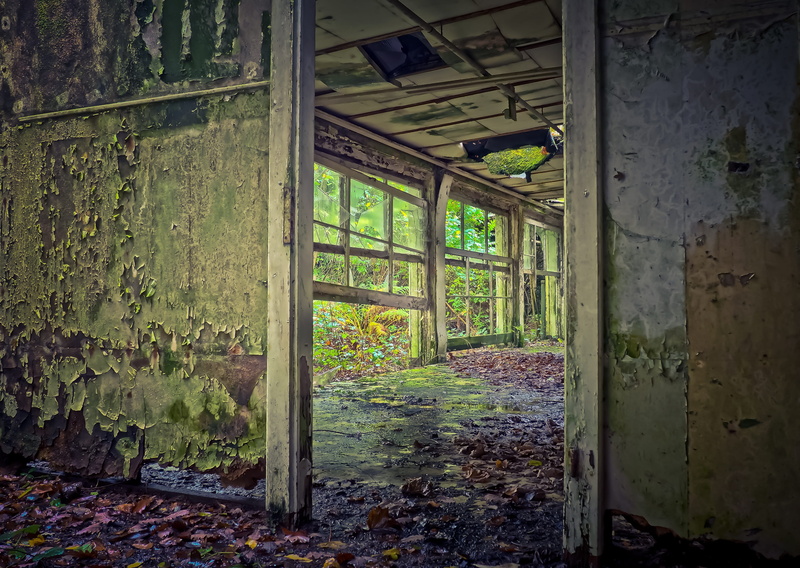 forget, broken, mood, architecture, darkness, ruined, damaged, home, run-down, deterioration, horror, nature, 4K, mystical, leave, decline, lost places