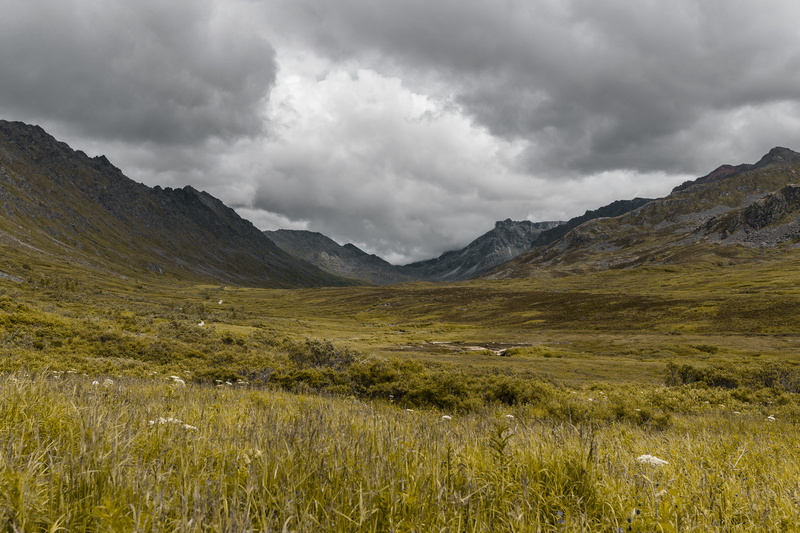 plant, overcast, grass, dark, environment, outdoors, lockscreen, cloudy, plateau, tranquil scene, storm, tundra, insane, clouds, countryside, day, landscape