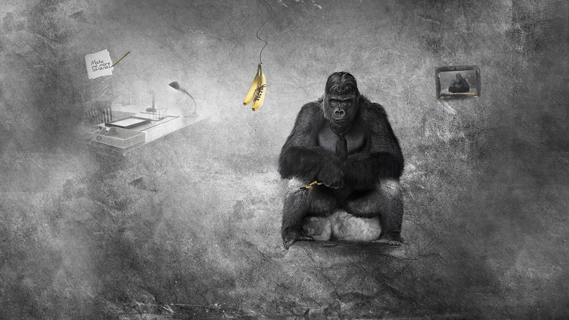 monochrome, 720P, bananas, monkey