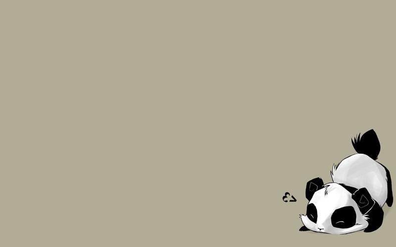 animals, hd, gray, cub, grey, bear, 720P, panda