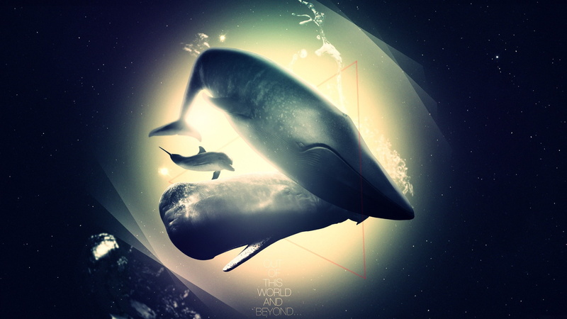 triangles, outer, 2K, outer space, space, dolphins, hd, text, art, surreal, whales, animals
