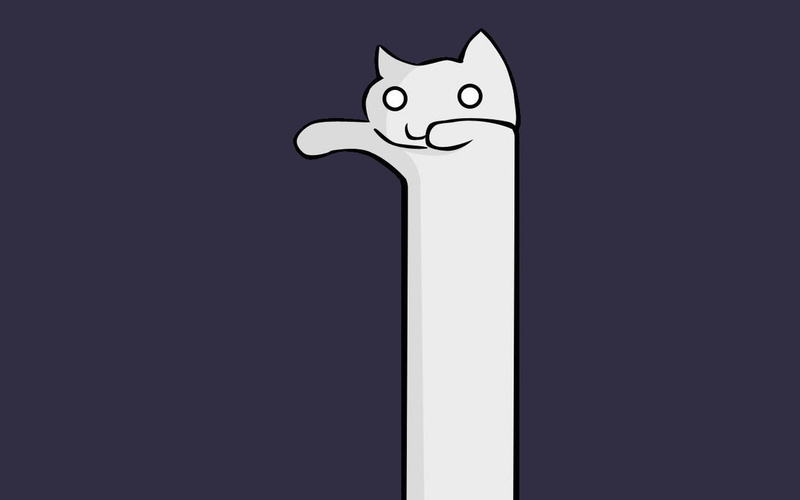 720P, animals, art, x, cats, meme, longcat, hd