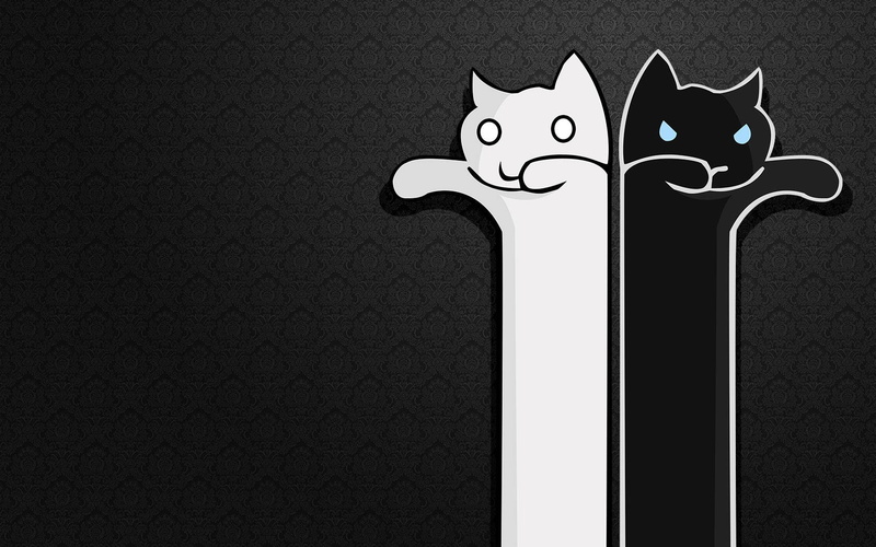 720P, meme, pattern, cats