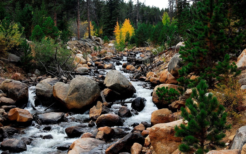image, trees, rivers, 1080P, river, nature, small, forests, stone, 3d and abstract