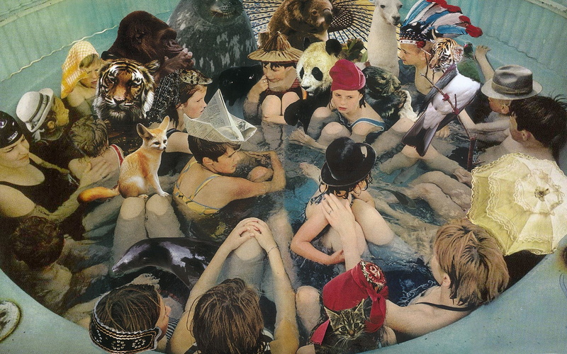 seals, people, animals, cover art, koalas, art and craft, craft, fennec, variation, representation, human representation, llamas, male likeness, bathing