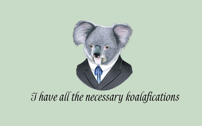 digital art, minimalism, suits, simple background, quote, 1080P, text, humor, koalas, animals