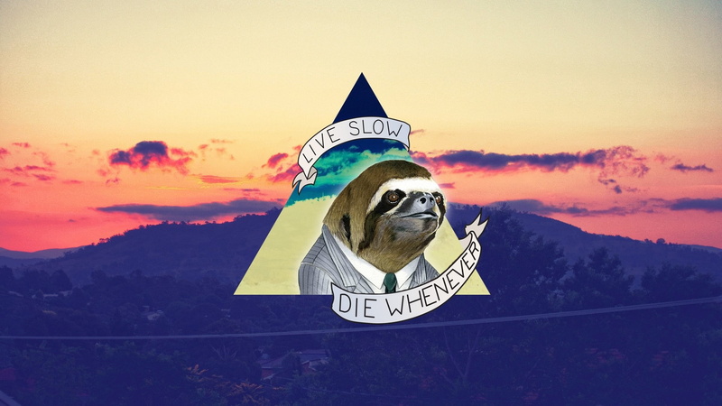 1080P, nature suits triangle sloths