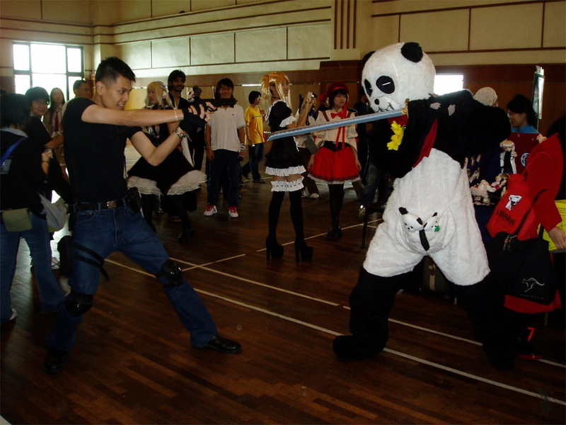 scenes, hd, art, animals, bears, funny, swords, x, 480P, wtf, panda