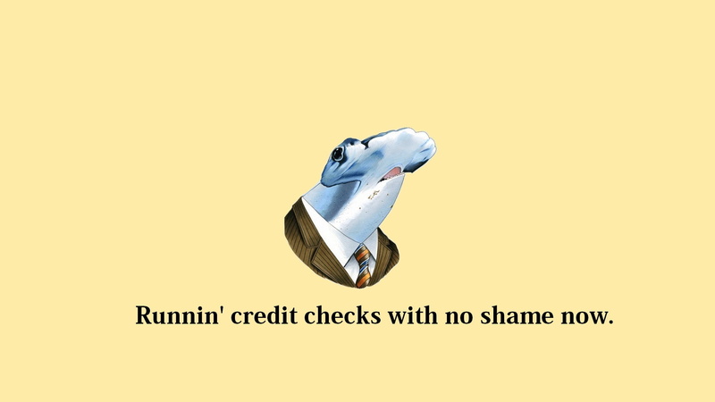 suit, wtf, shark, 1080P