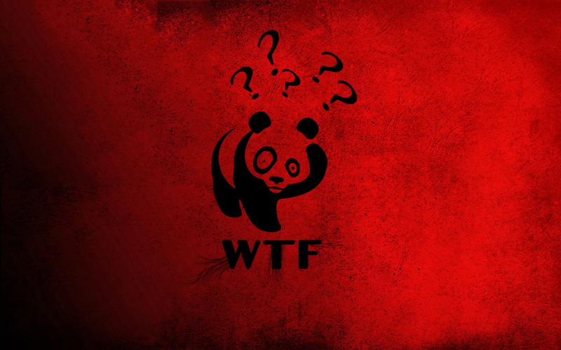 wtf, bears, panda, 1080P