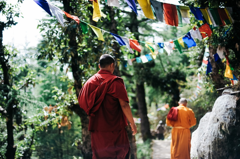 nature, outdoors, tradition, monk, rock, group of people, tree, Buddhism, robe, back view, prayer, festival, adult, religious, shrine, celebration, buntings