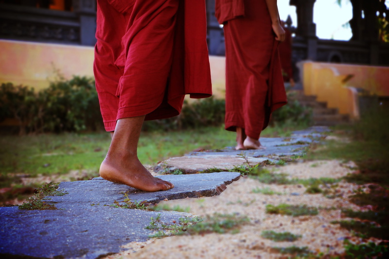 religion, outdoors, day, footpath, standing, buddha, real people, dhamma, human limb, garden, 5K, wet, bhikkhu, low section, buddhism, matara, human foot