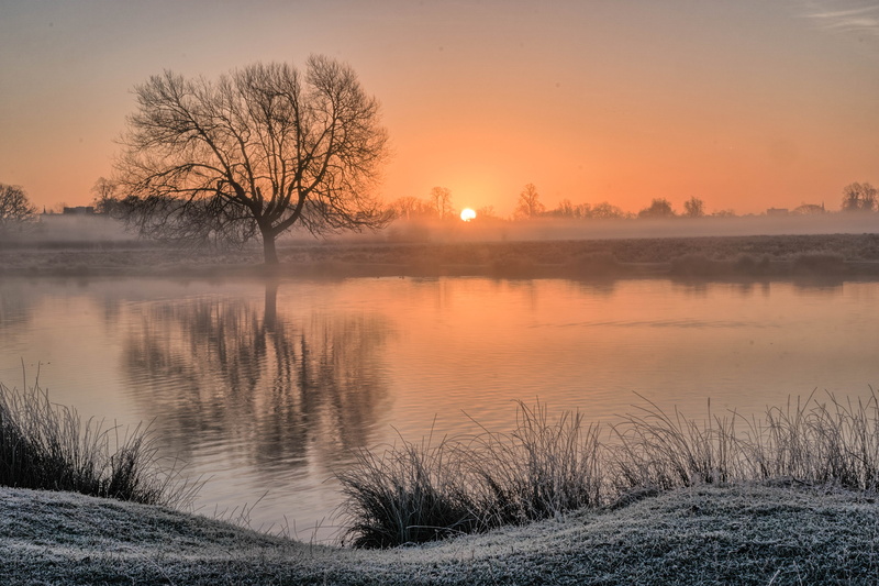 outdoors, GB, beside, sunrise - Dawn, landscape, sunset, reflection, Bushy Park, 5K, England, United Kingdom, leaf, tree, nature, water, river, without