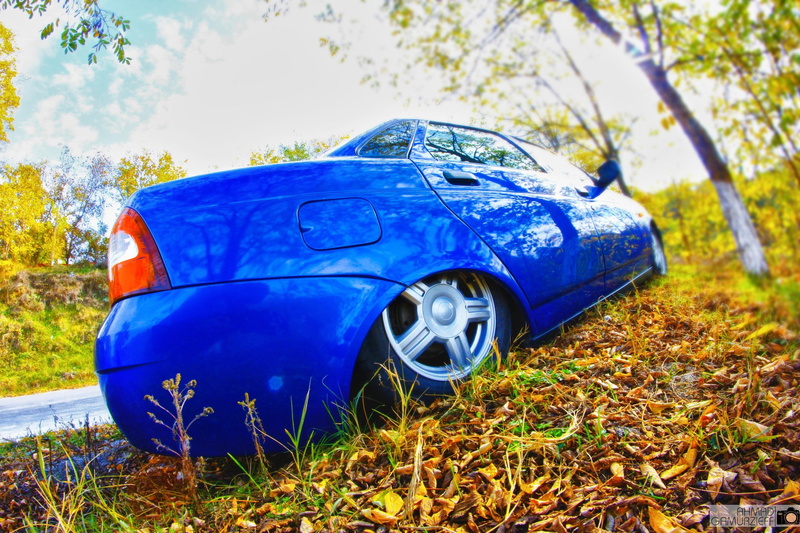 tree, 2110, field, grass, car, metal, Without Landing Auto No, day, Lada, damaged, ruined, stationary, nature, mode of transportation, transportation, outdoors