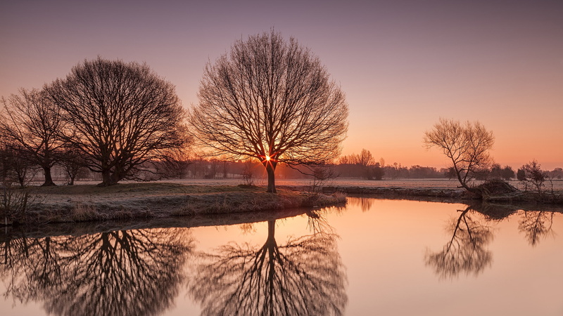 Suffolk, Frost, Scenery, UK, Nature, 2K, Trees, River, Sunrise, Stour