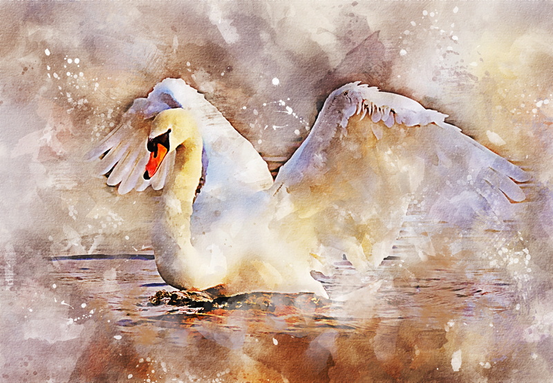 water, outdoors, bird, spray, grace, vertebrate, fantasy, reflection, women, wings, one person, 4K, watercolor, digital composite, frozen, ice, animals in the wild