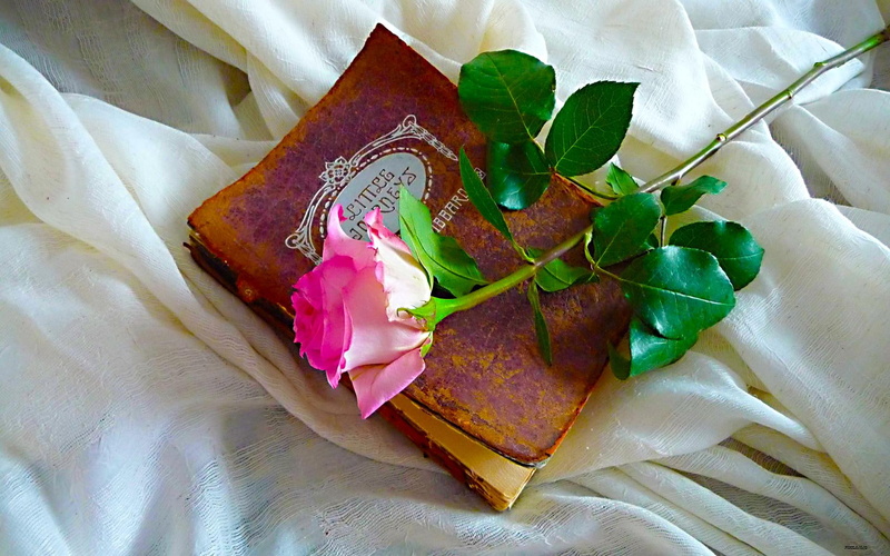 rose, romantic, loving, flower, love, beauty, book, 1080P, abstract, cloth, leaves, 3d and abstract