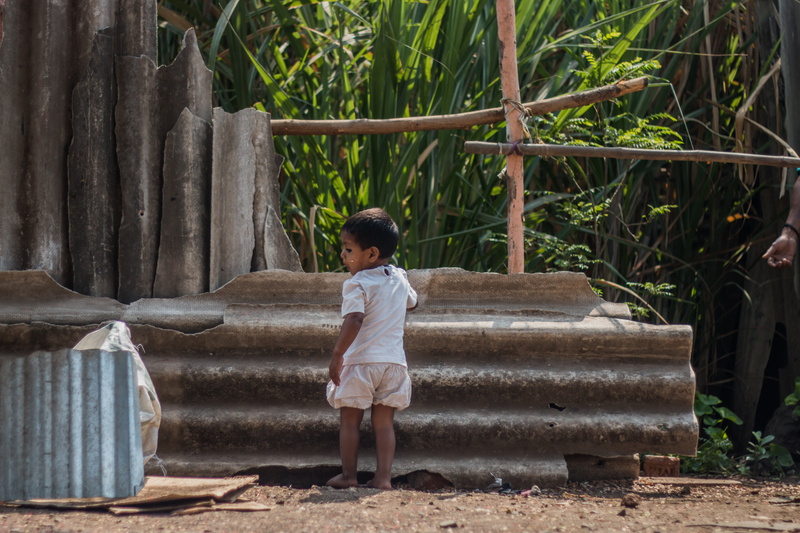casual clothing, boys, poor, standing, plant, toddler, day, childhood, full length, kid, leisure activity, nature, homeless, girl, small, rear view, real people