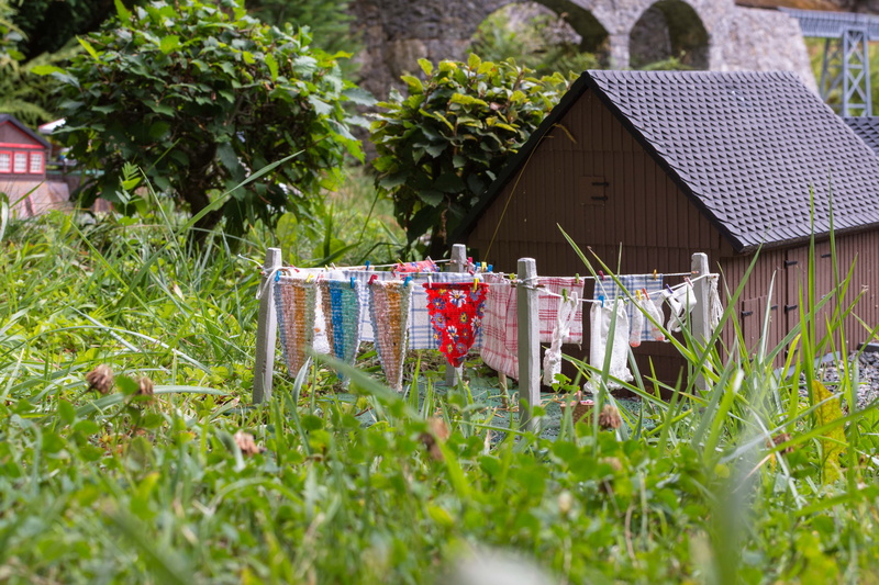 hanging, selective focus, no people, small-erzgebirge, house work, green color, built structure, roof, tree, house, container, outdoors, growth, dry, building exterior