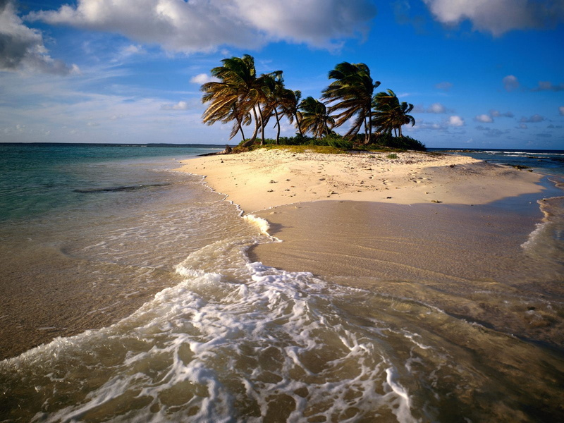 720P, caribbean, sandy, hd, island, beach