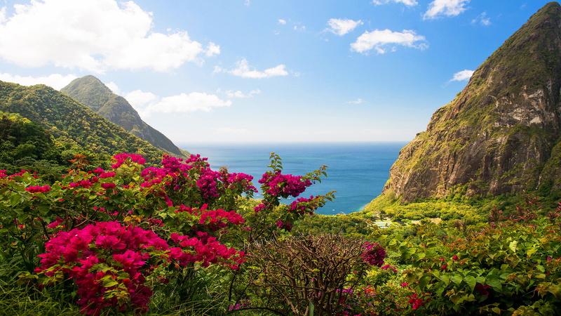 red, sea, islands, flowers, lucia, caribbean, hd, beach, leaves, saint, green, 2K