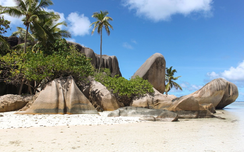 rock - object, nature, solid, no people, scenics - nature, formation, seychelles, 1080P, day, sky, plant, outdoors, sandy, growth, tropical climate