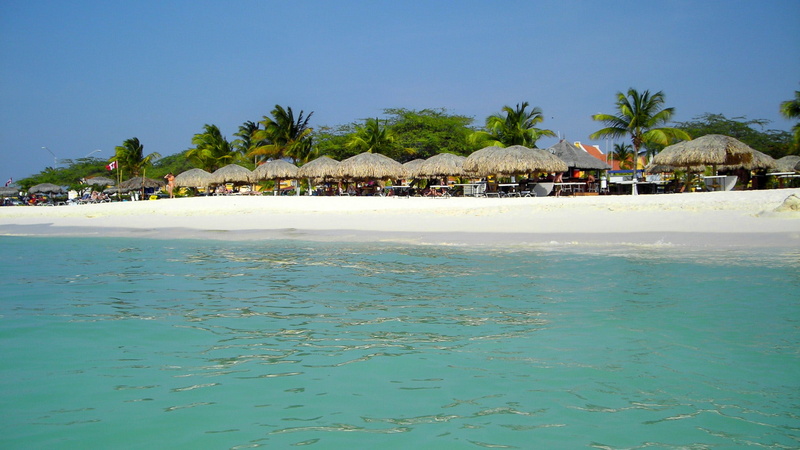 sea, strawberry, beaches, palm, trees, eagle, 1080P, waters, sandy, turquoise, umbrellas, aruba, beach, caribbean