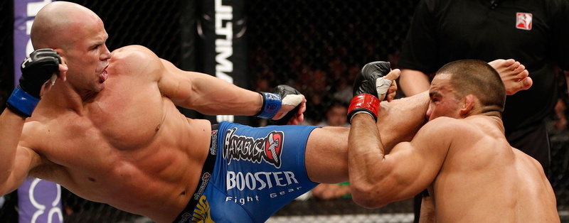 2K, fighting, ufc, arts, martial, mixed, mma