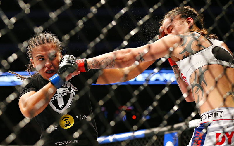 martial, mixed, ufc, fighting, mma, 1080P, arts