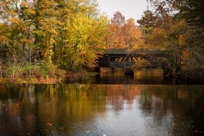 lake, united states, day, tree, waterfront, nature, tranquil scene, orange color, trees, woods, autumn, outdoors, scenics - nature, non-urban scene, sturbridge