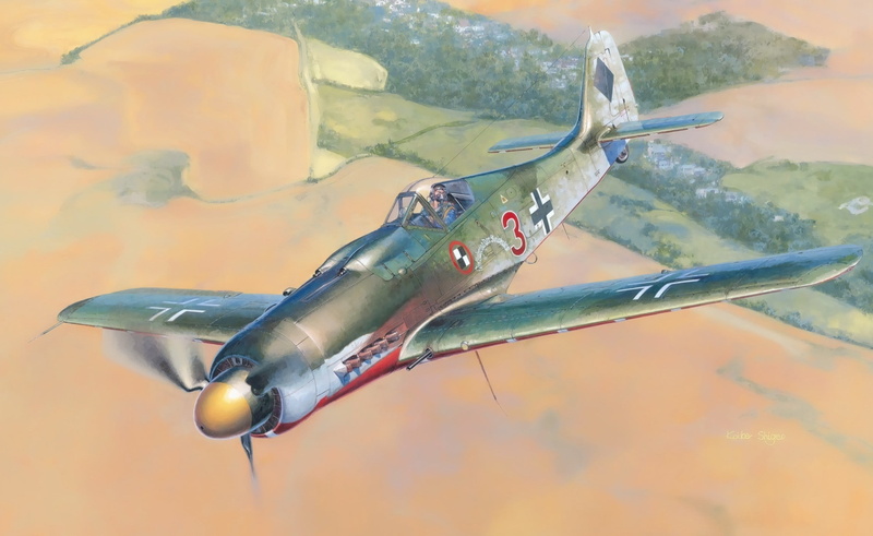 Focke-Wulf, blue, aircraft, air vehicle, nature, lake, military, animals in the wild, military aircraft, animal, fish, fw 190, day, one animal, lure, flying