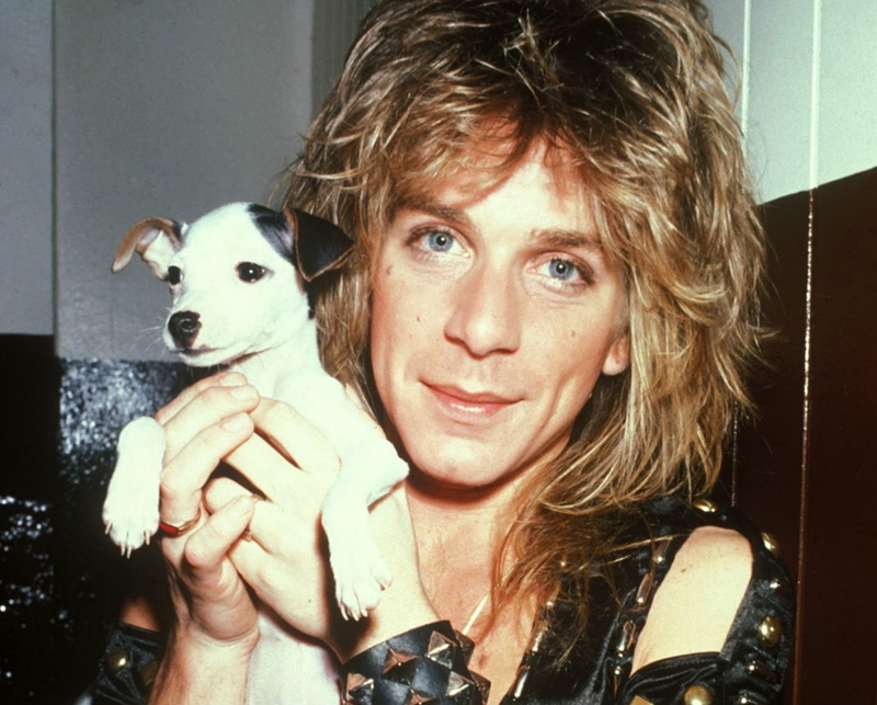 720P, randy rhoads, metal, puppy, osbourne, randy, ozzy, rhoads, guitar, heavy