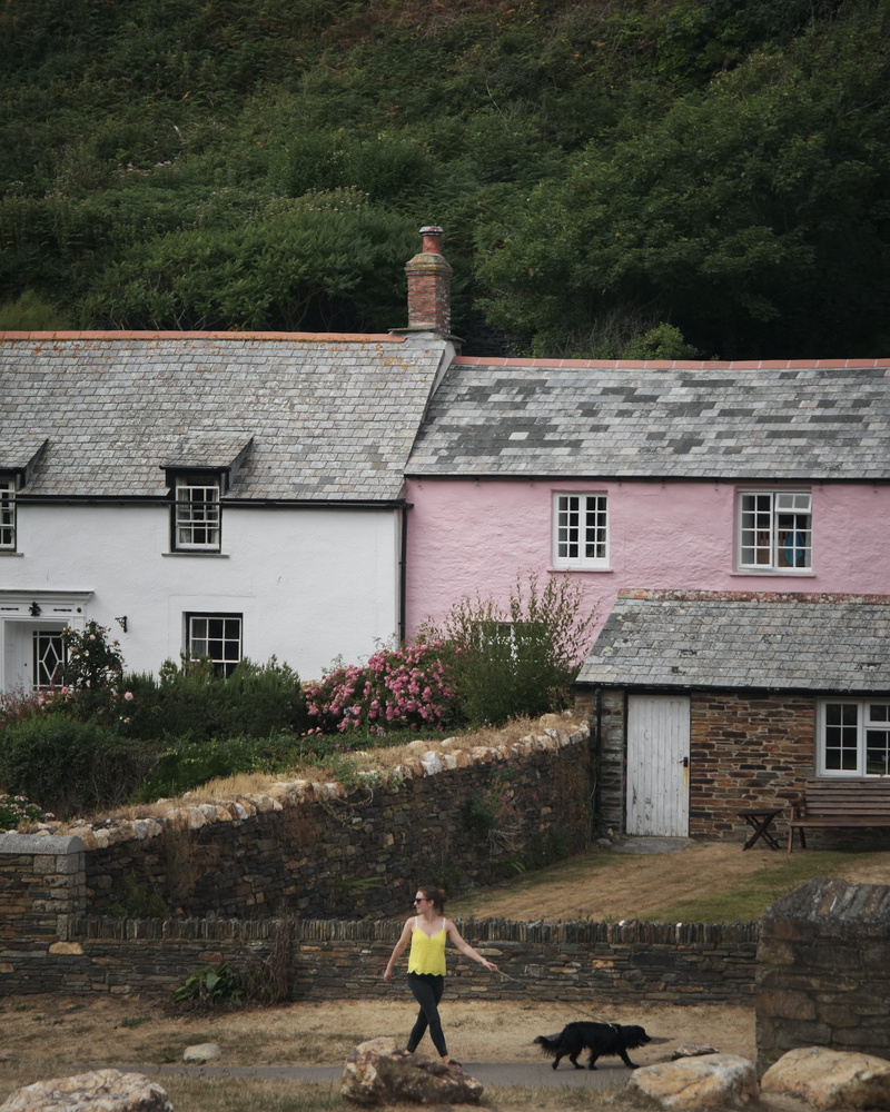 tree, houses, dog, full length, white, nature, one animal, plant, coast, one person, domestic, lifestyles, old, real people, boscastle, built structure