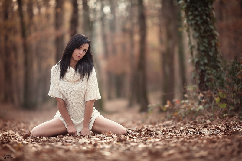 brunette, Fall, Straight Hair, model, Spread Legs, forest, women, 1080P, Depth Of Field, Laurent Kacé, Sweater Dress, Looking At Viewer, Long Hair, Women
