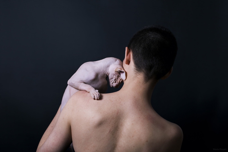 animals, black background, shirtless, young men, pets, canine, mouth open, one animal, lifestyles, cat, domestic animals, 1080P, men, sphynx, Sphynx cat
