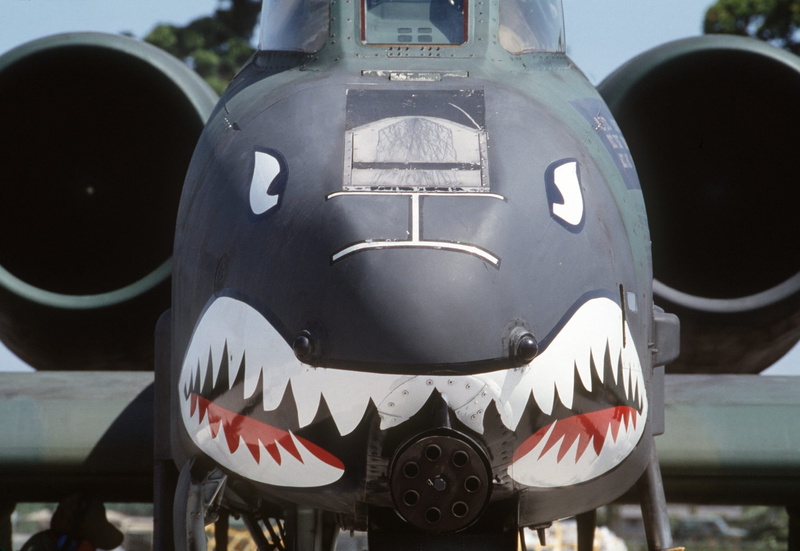 Shark, aviation, nature, green, day, plane, black, metal, teeth, sculpture, front view, Aircraft, military, close-up, no people, 1080P, creativity, Face