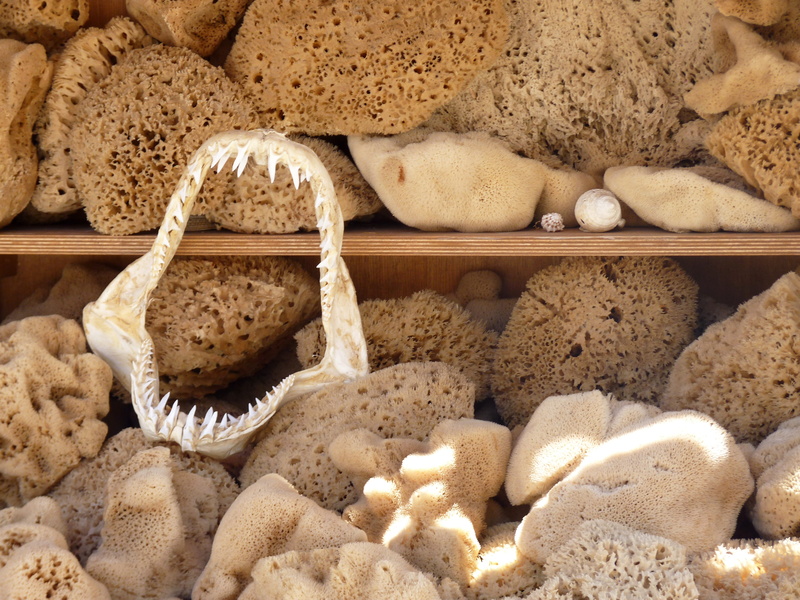 variation, sea, stone - object, holiday, food, high angle view, pebble, nature, kalymnos, food and drink, sponge, large group of objects, for sale, indoors