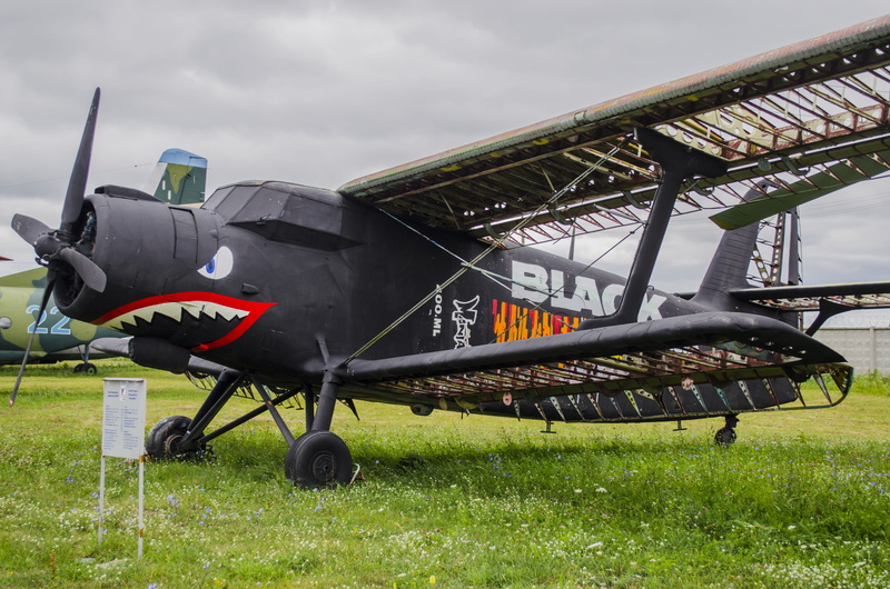 black, exhibit, airport, 4K, air vehicle, pictured, mode of transportation, wheel, day, figure, grass, military, shark, an-2, old, aerospace industry