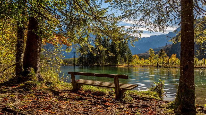 bank, autumn, bench, woods, water, woodland, forest, 4K, tree, seat, wilderness, autumn landscape, river, riverside, nature