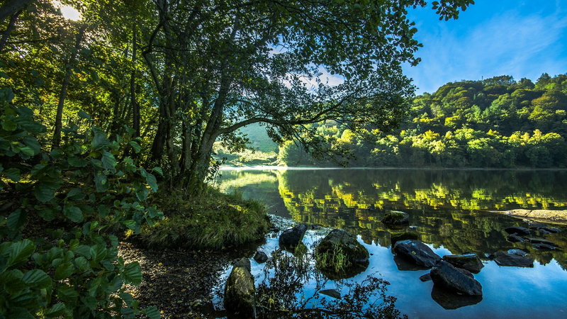 beauty in nature, nature, green color, sunlight, scenics - nature, tranquility, water, riverside, reflection, tranquil scene, bank, day, land, tree, river