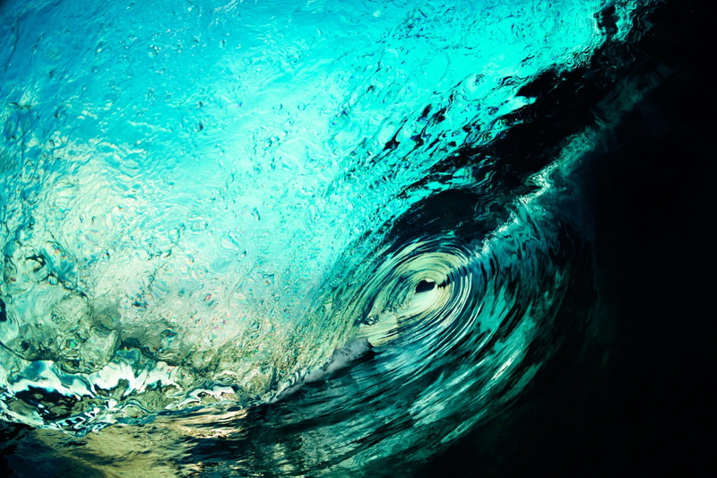 underwater, animal, close-up, abstract, animal eye, full frame, one animal, turquoise colored, waves, no people, animal wildlife, pattern, blue, outdoors