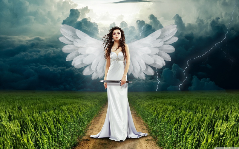 adult, beauty in nature, model, beautiful woman, field, land, 4K, fantasy girl, cloud - sky, one person, young adult, wings, fantasy art, hairstyle, young women