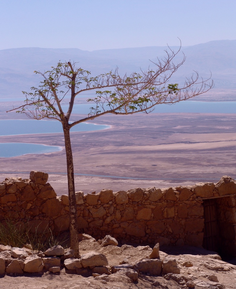 surface, climate, terrain, soil, 2K, beauty in nature, mountain, infertile, day, landscape, dirt, arid climate, desert, solid, barren, no people, tree