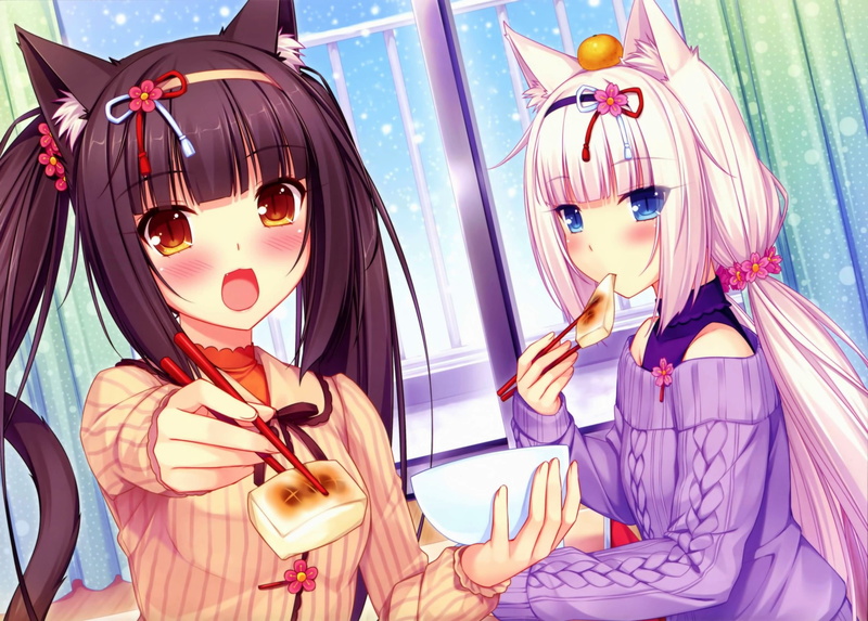 clothing, indoors, animal ears, Neko Para, 2K, tofu, nekomimi, no people, representation, arts culture and entertainment, art and craft, male likeness